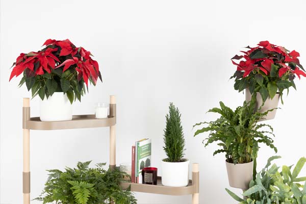 Modular shelf and vertical planter