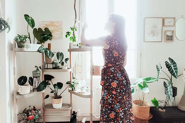 modular shelf for indoor plants