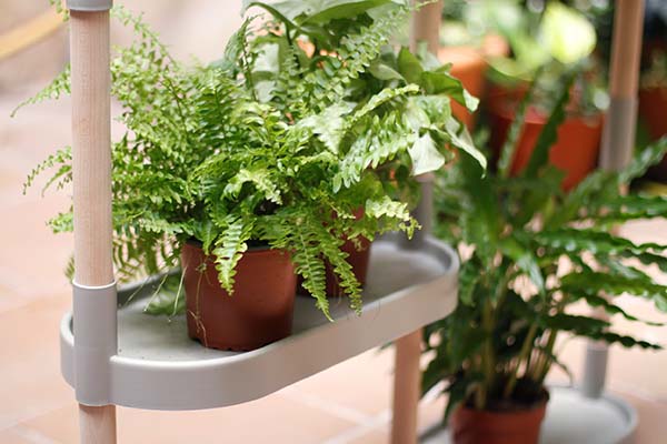 prestatgeria modular per a plantes