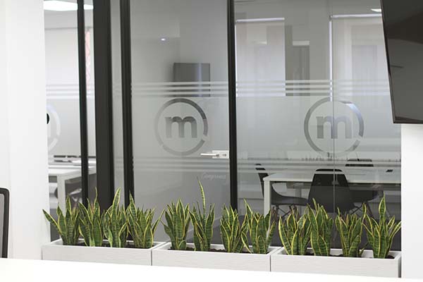 maceteros para plantas en oficinas
