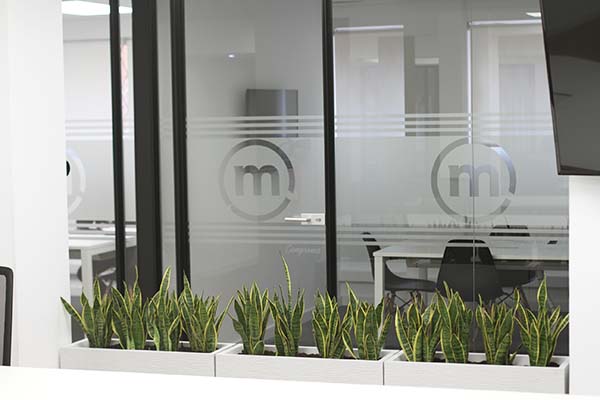 maceteros para plantas en oficinas