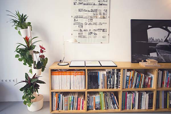 vertical planter in architecture office