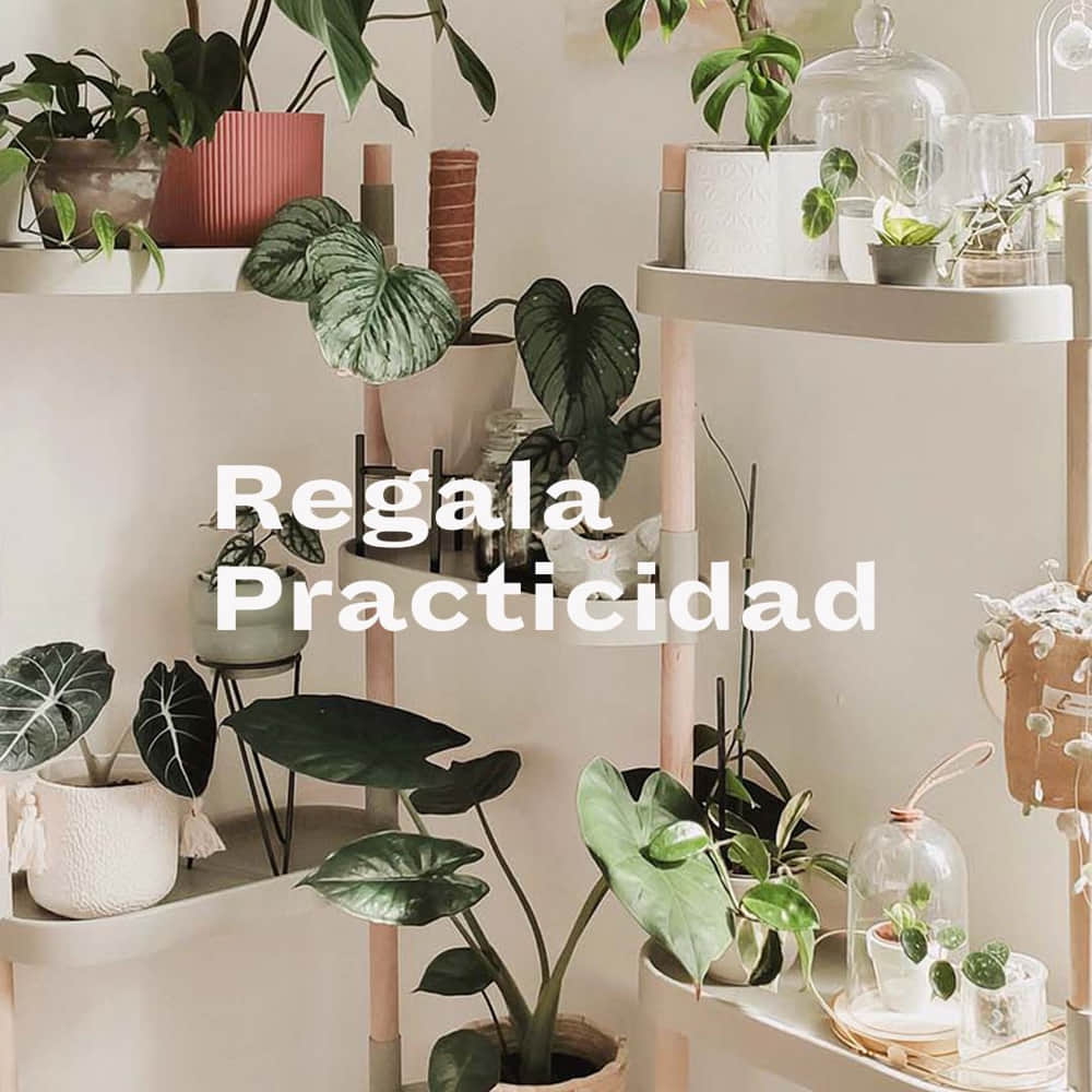 regala practicidad