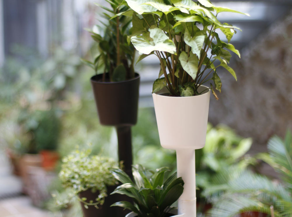 self-watering system to water plants in summer