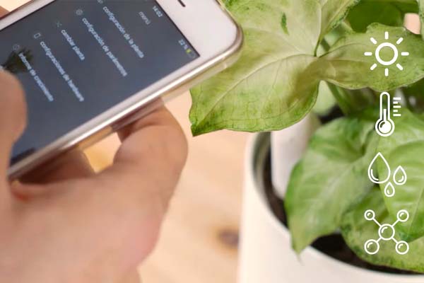 Smart self-watering vertical planter