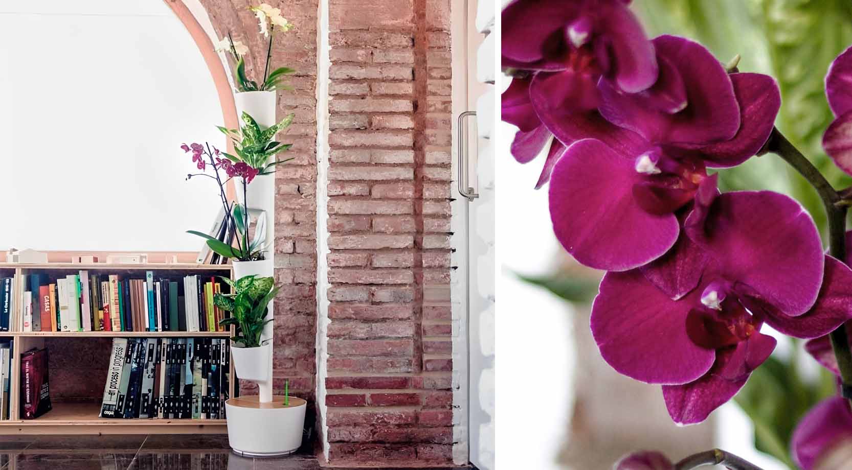 Vertikaler Blumentopf mit Orchideen