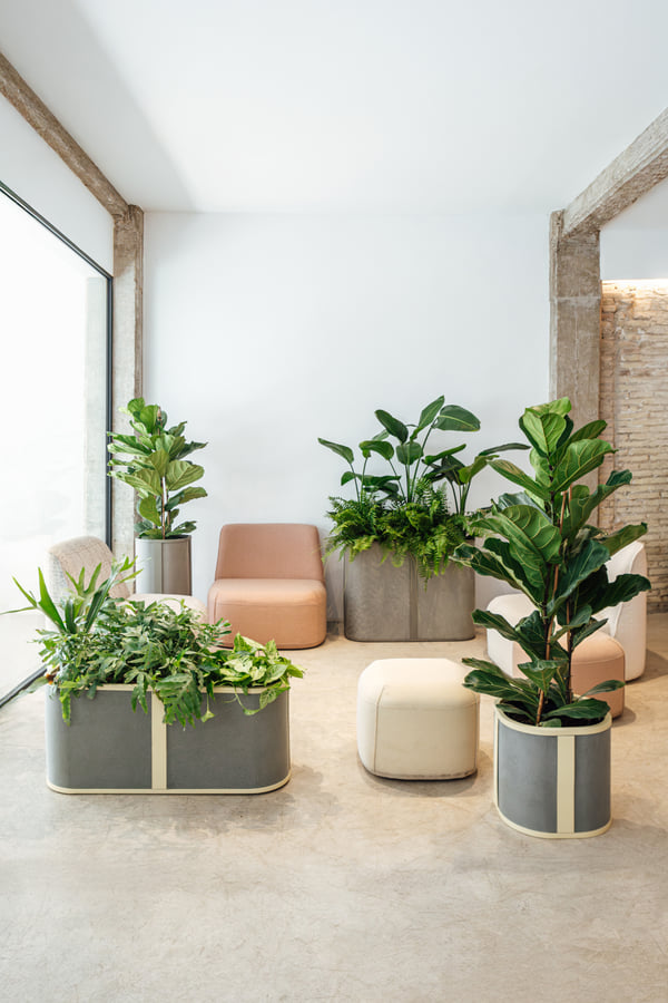 CitySens Lab - Naturaleza y diseño