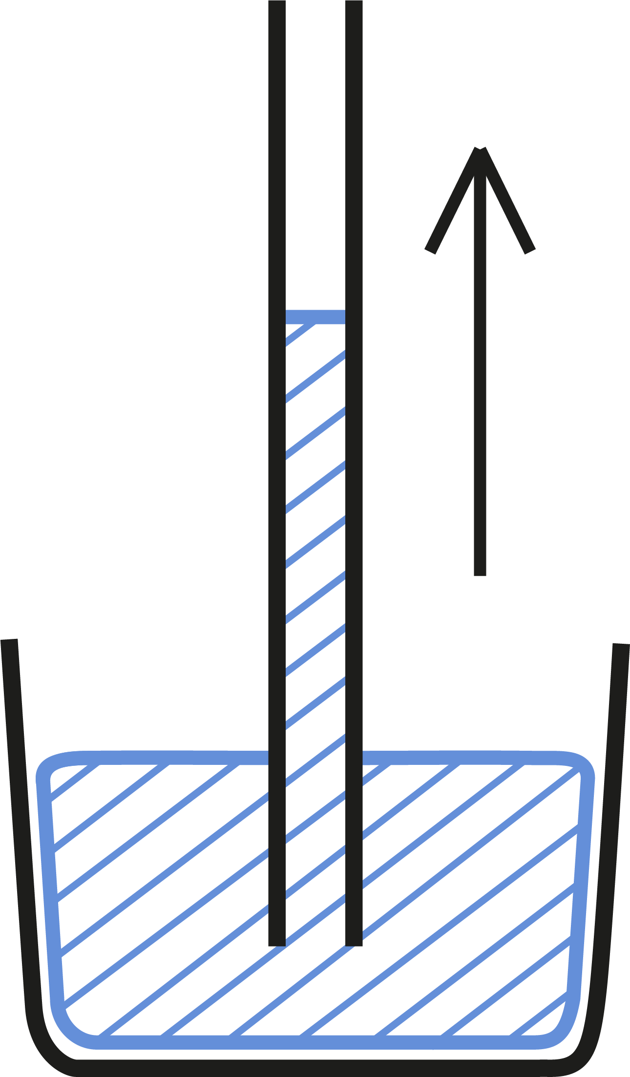 Auto-arrosage numérique