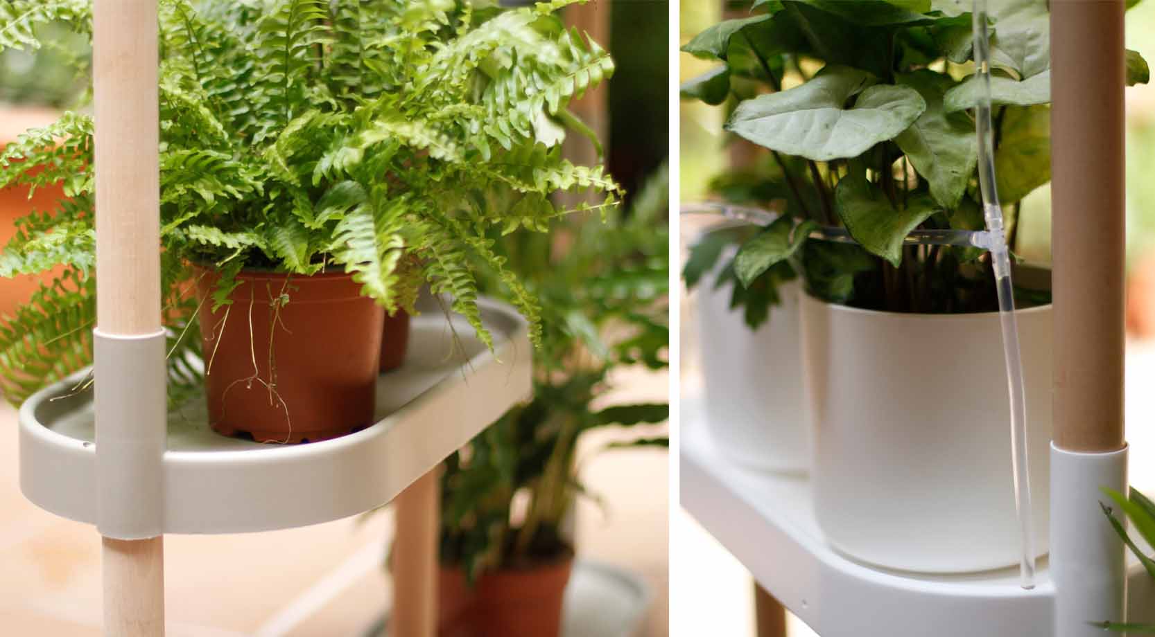 prestatgeria modular per a plantes