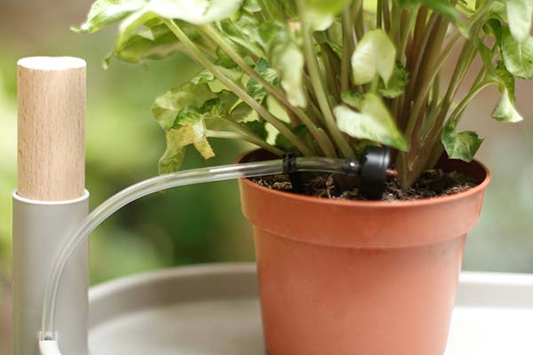 Programmable self-watering plant shelf