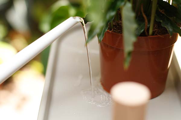 Manual watering plant shelf