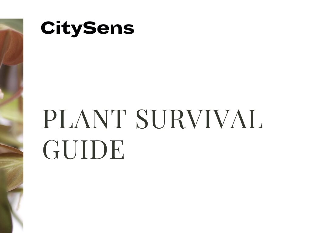 Guide de conseils CitySens