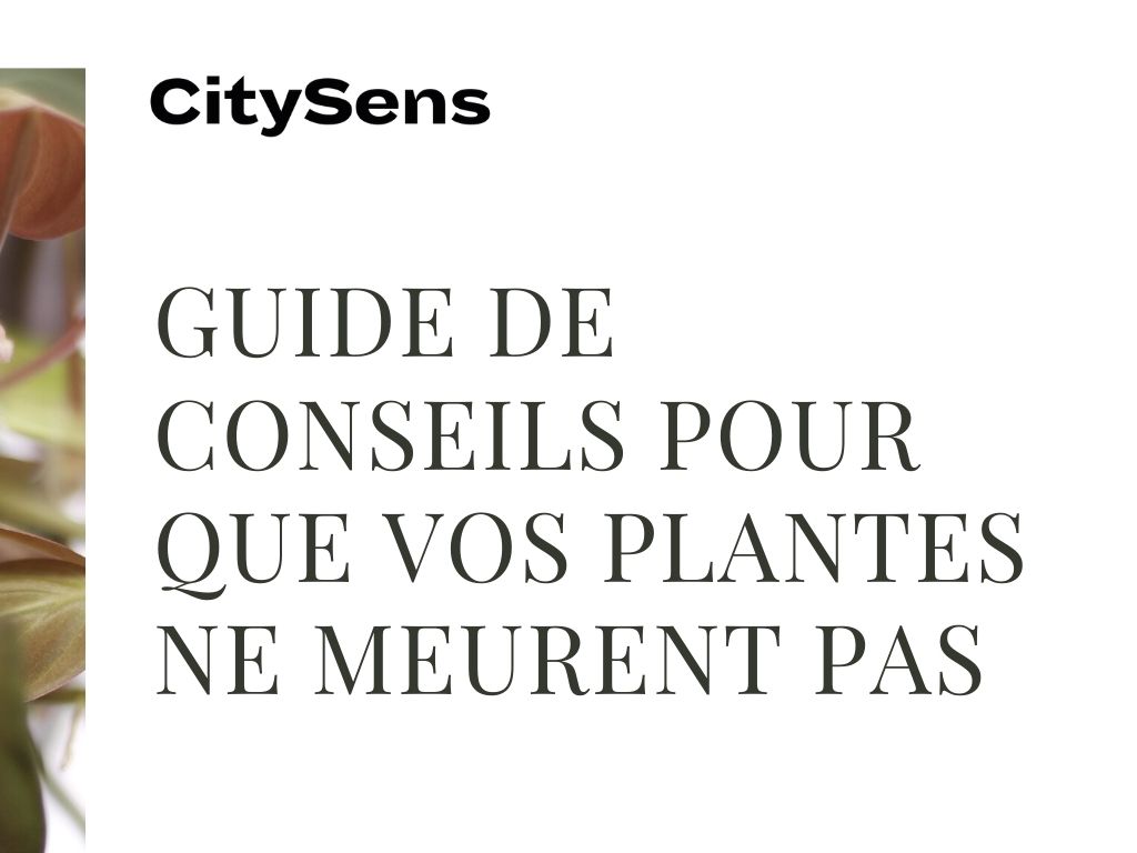 Guide de conseils CitySens