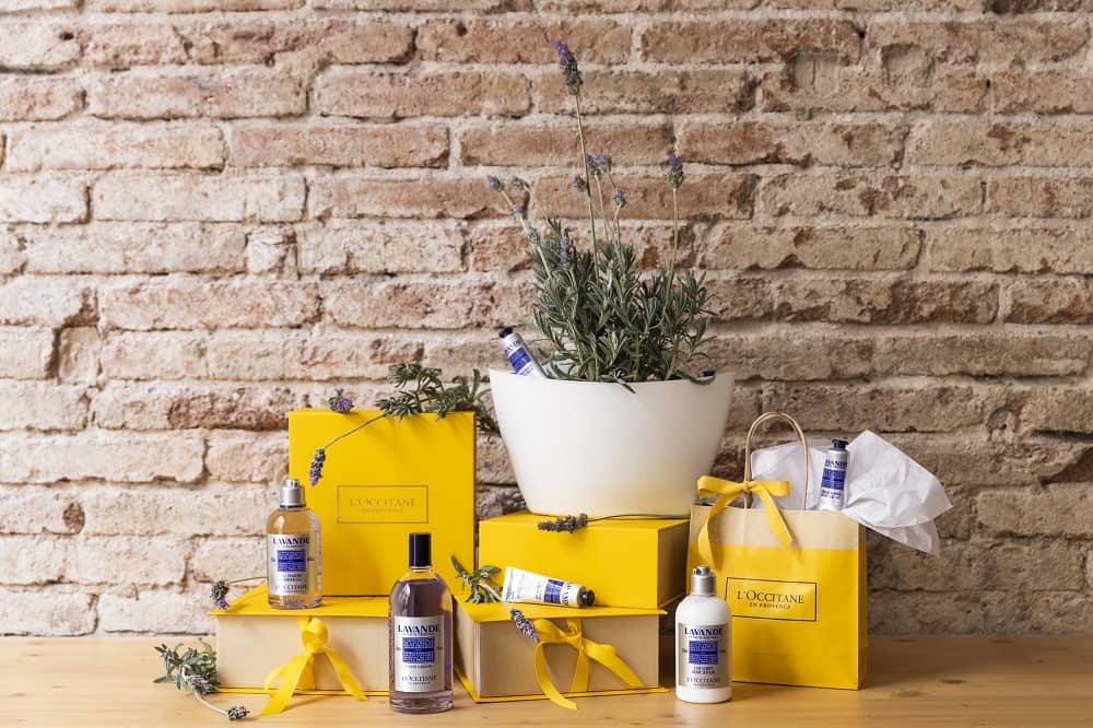 regalos de empresa con plantas