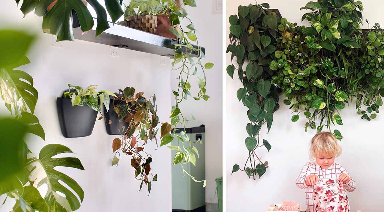 wall planters with plants