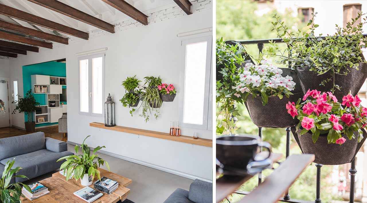 wall planters with plants