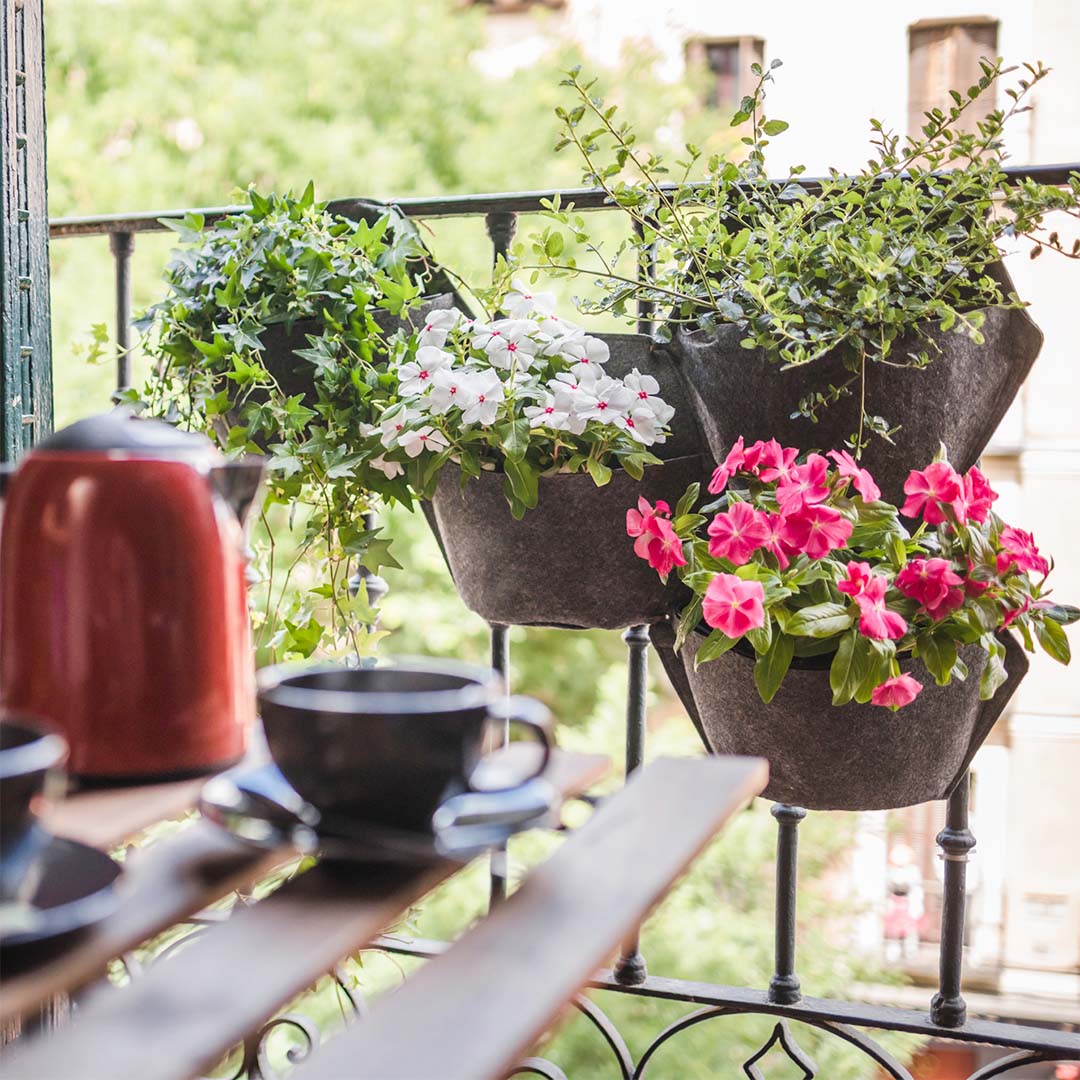 Maceteros de pared con plantas colgantes