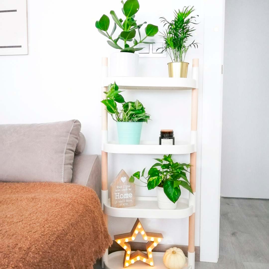 Estantería CitySens con plantas purificadoras