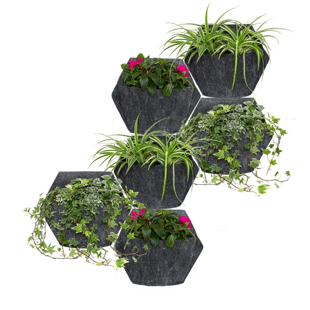 hydroponic vertical planter