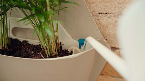 self-watering wall planter