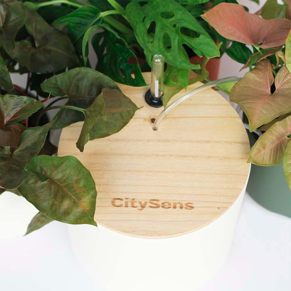 Smart drip irrigation system