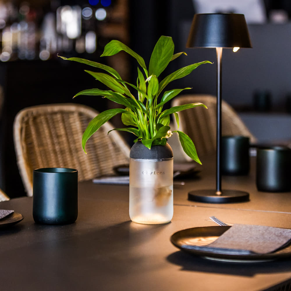 Vases Suspendus Transparents Pour Plantes Hydroponiques - Lot De 6 - Avec Corde - Pour Décoration Intérieure, Bougies, Micro-jardins