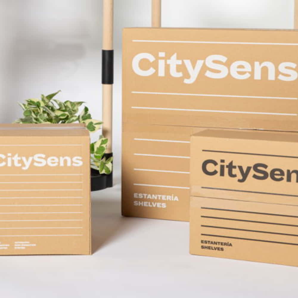 packaging CitySens