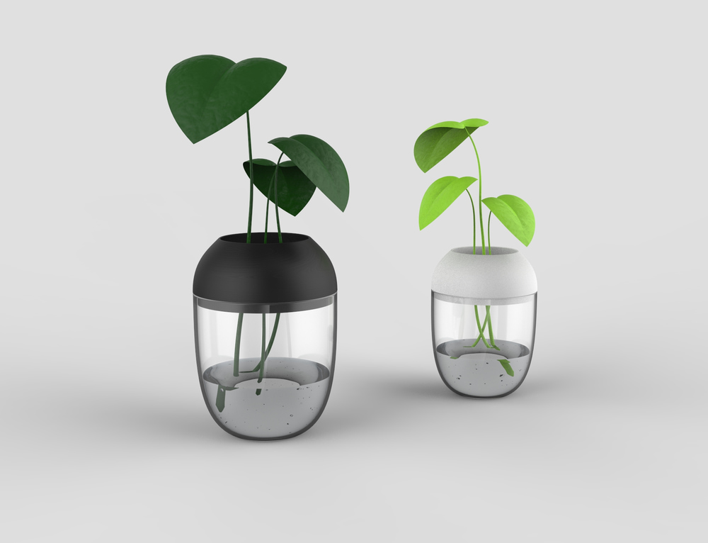 transparenter Pflanzenbehälter
