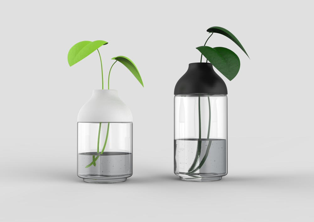 transparenter Pflanzenbehälter