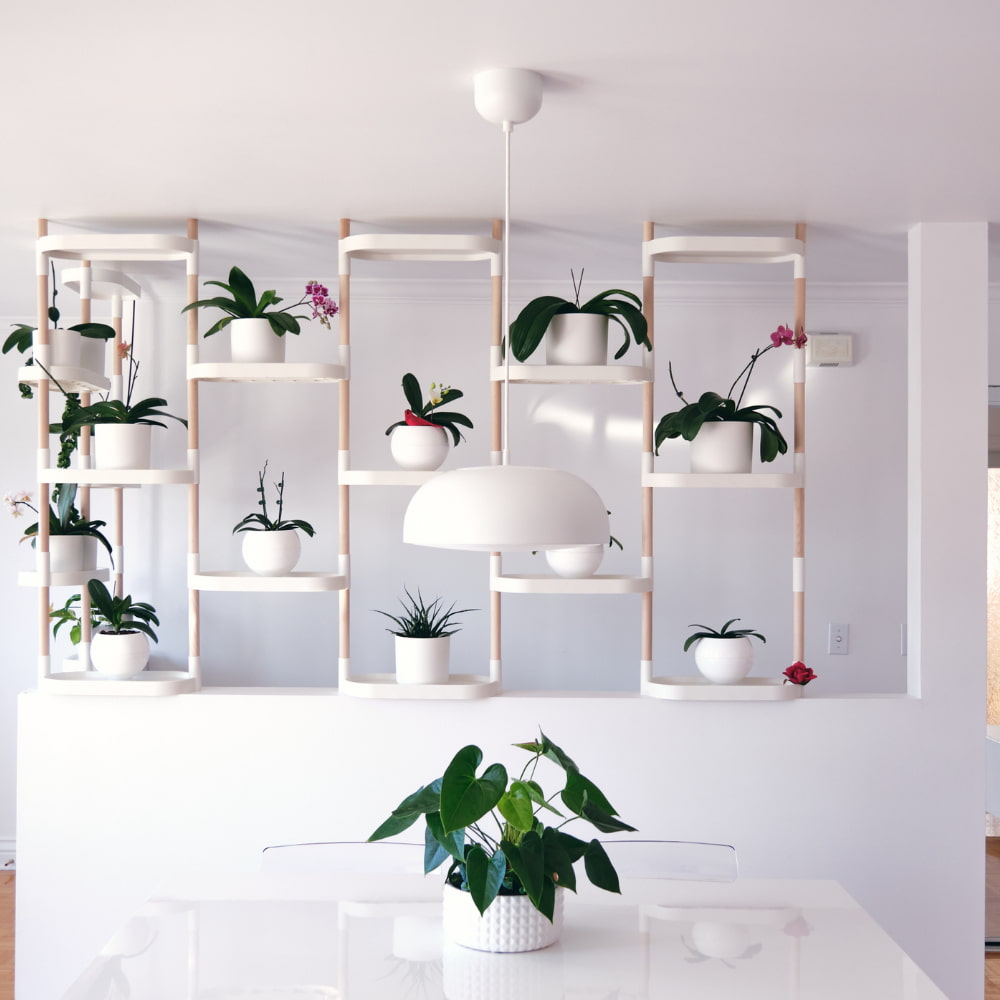 modular plant shelves