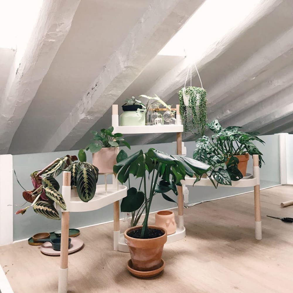 modular plant shelves