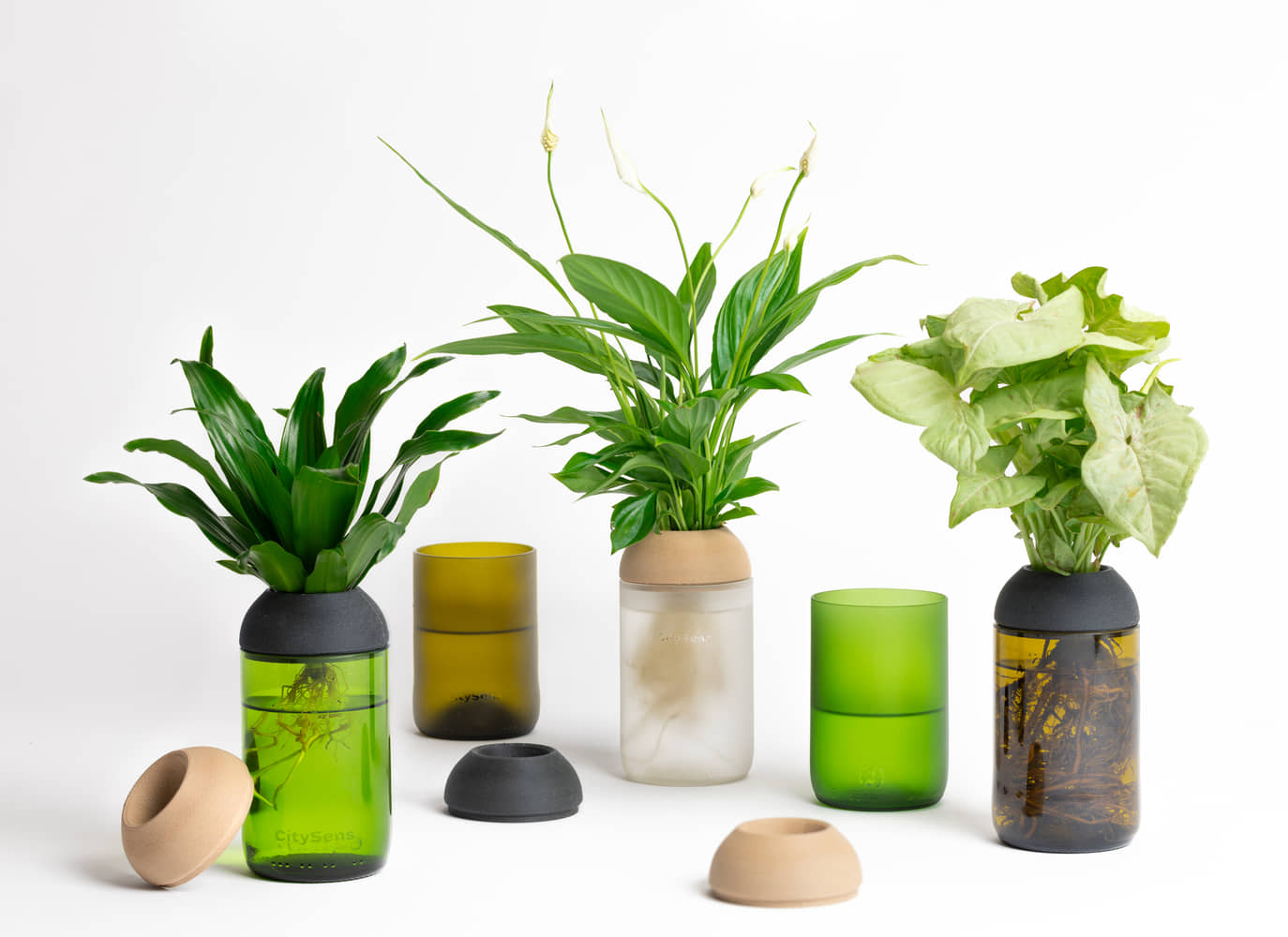 CitySens transparent planter