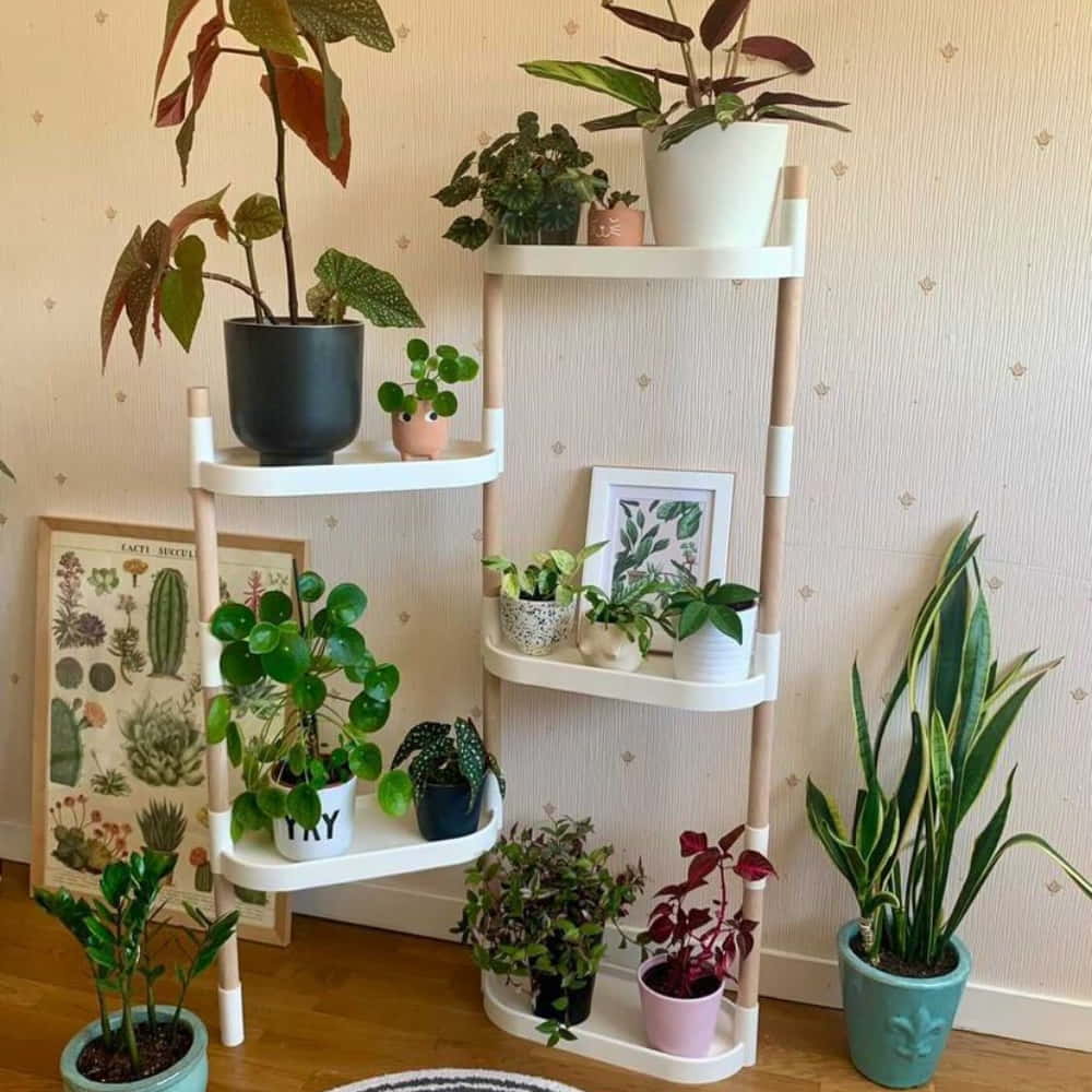 modular plant shelves