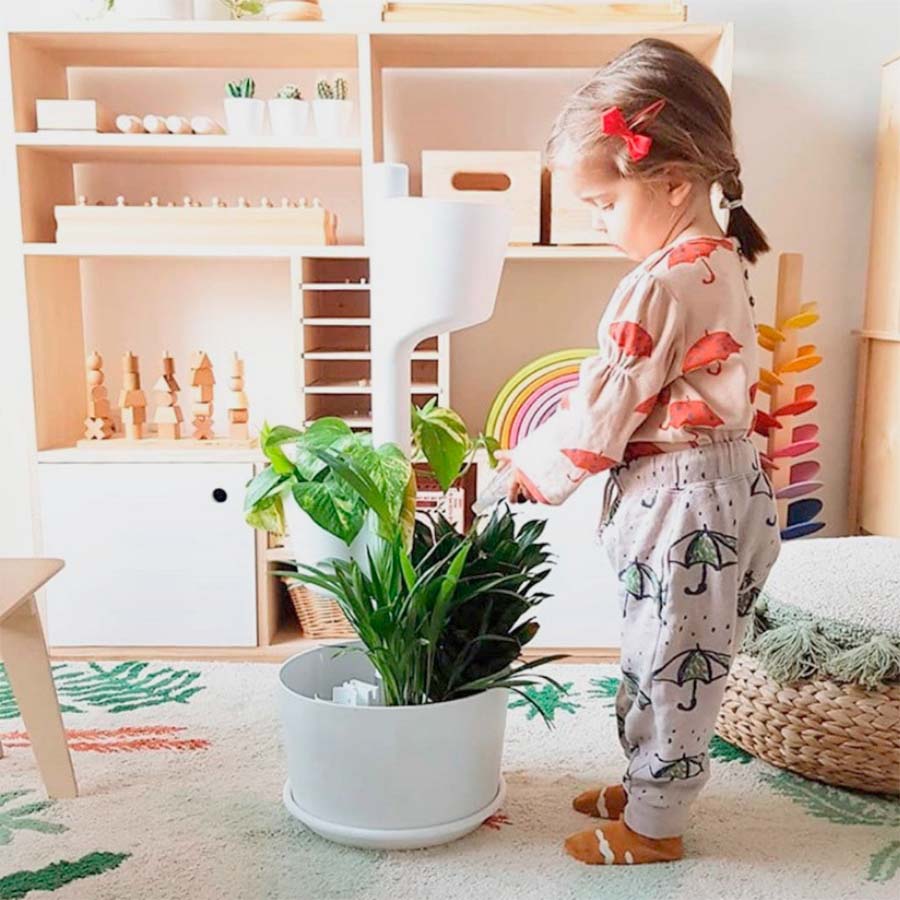 manual educativo montessori y disciplina positiva
