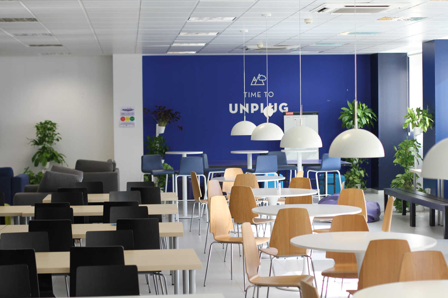 Plantas en oficinas eDreams