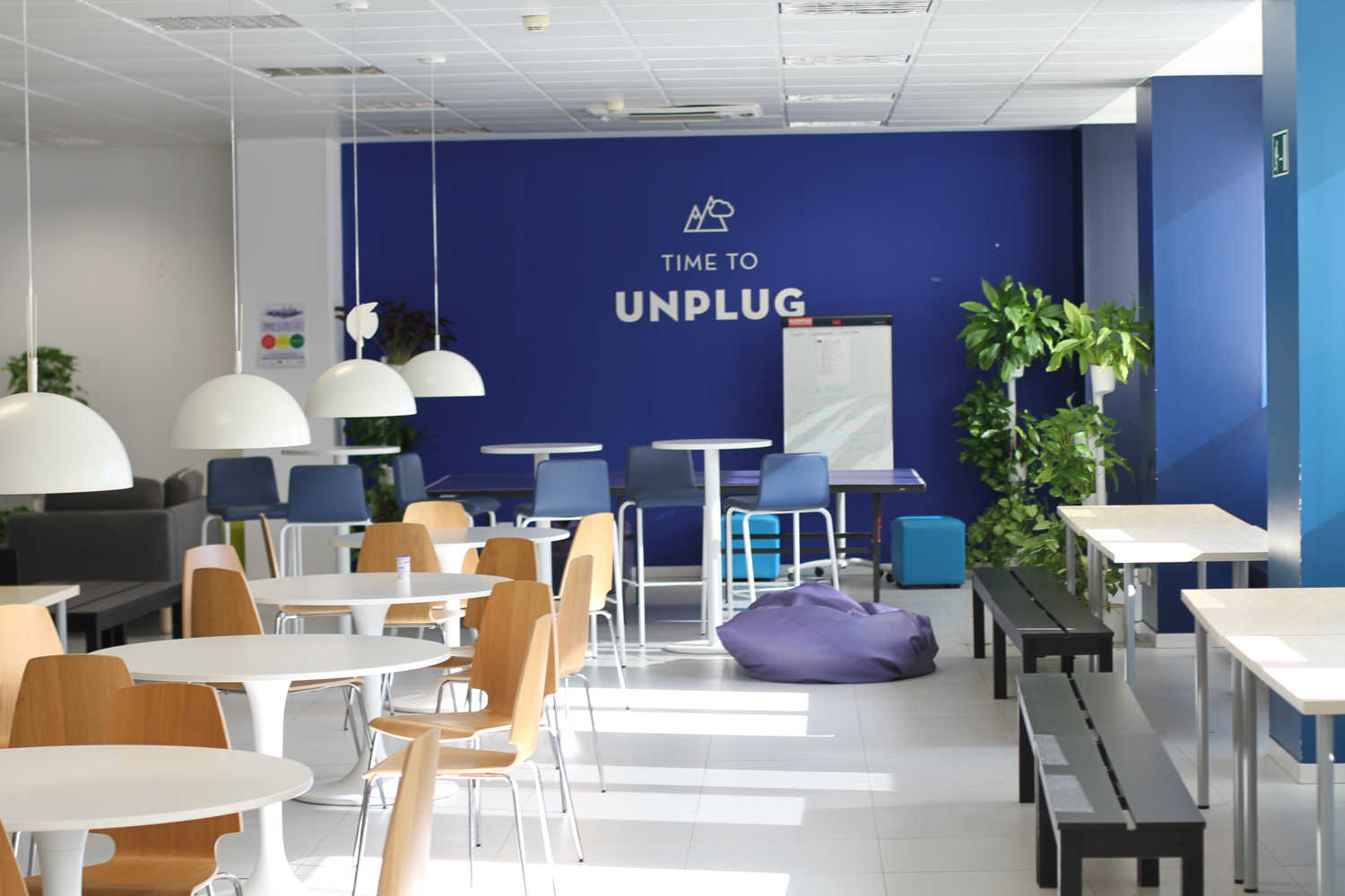 Plantas en oficinas eDreams