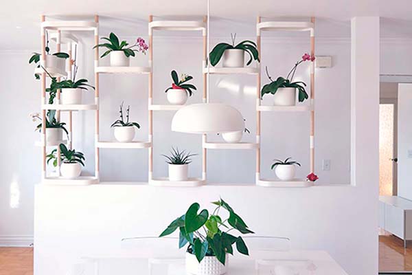 etagere de plantes