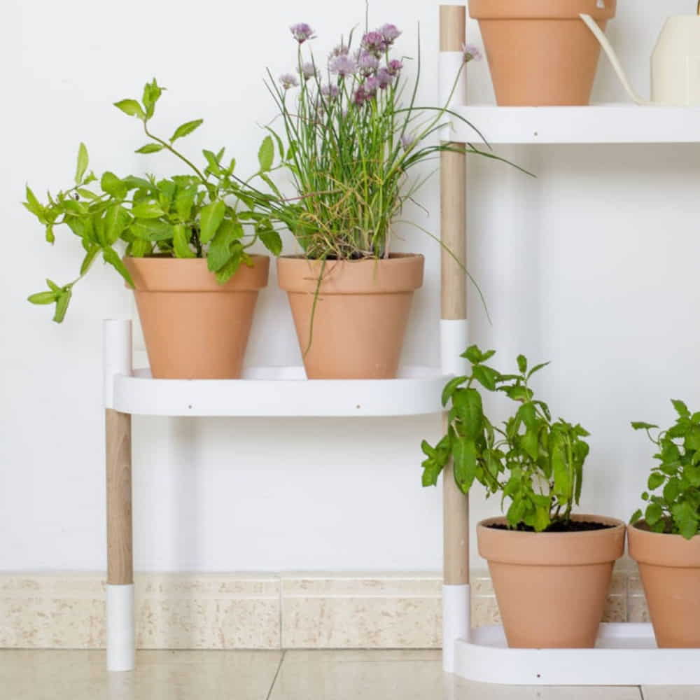 modular plant shelves