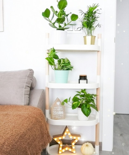 modular plant shelves