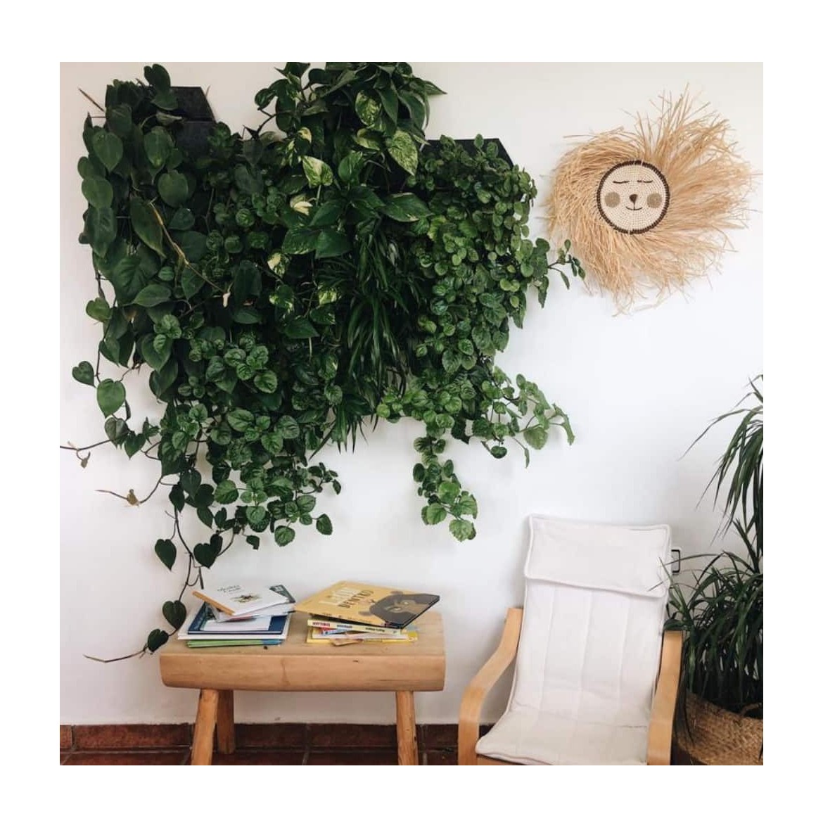 PLANTAS COLGANTES: DECORA TU CASA POR DENTRO FUERA -