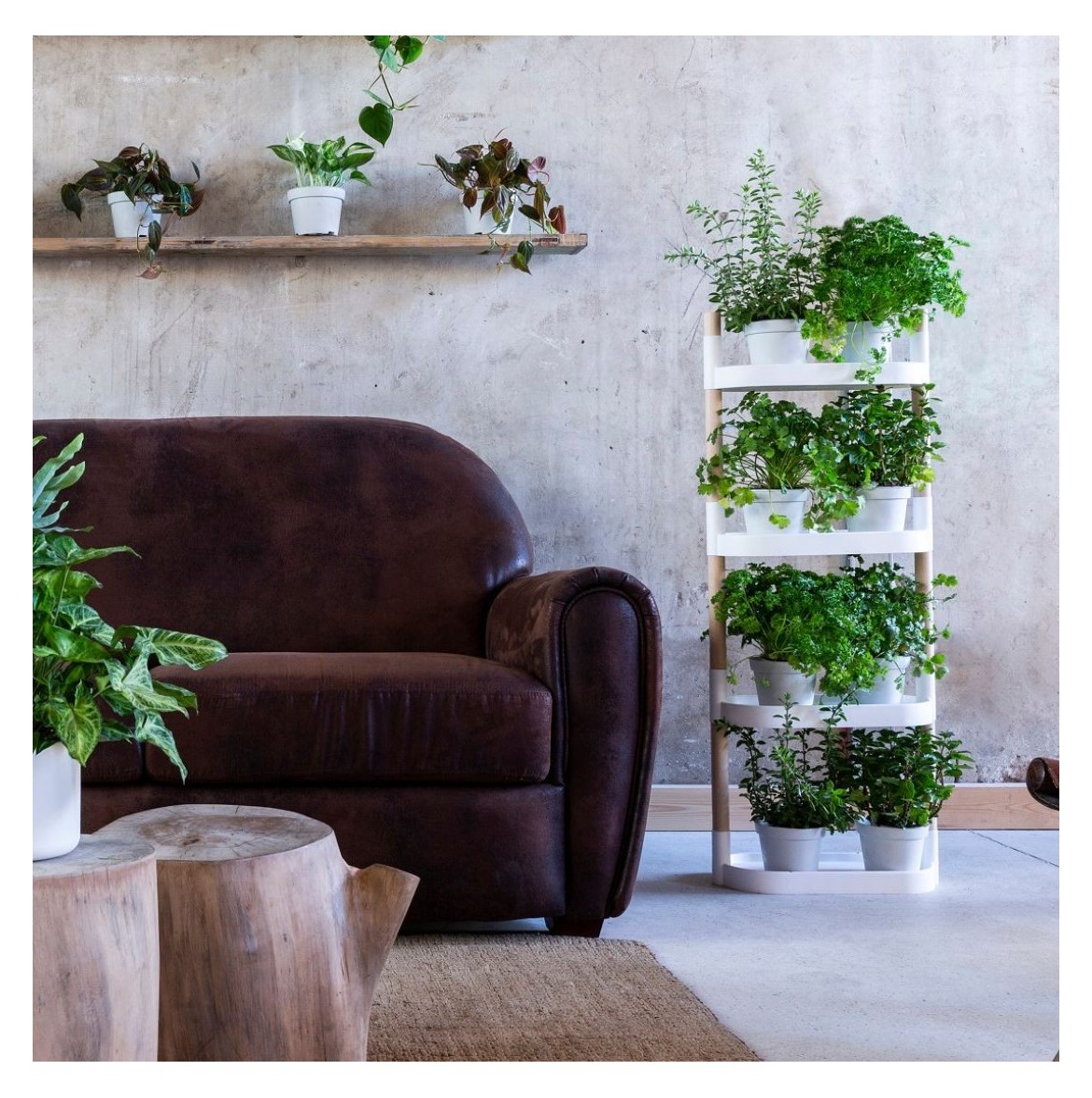 El moble per a plantes que connecta disseny, naturalesa i benestar en la teva llar