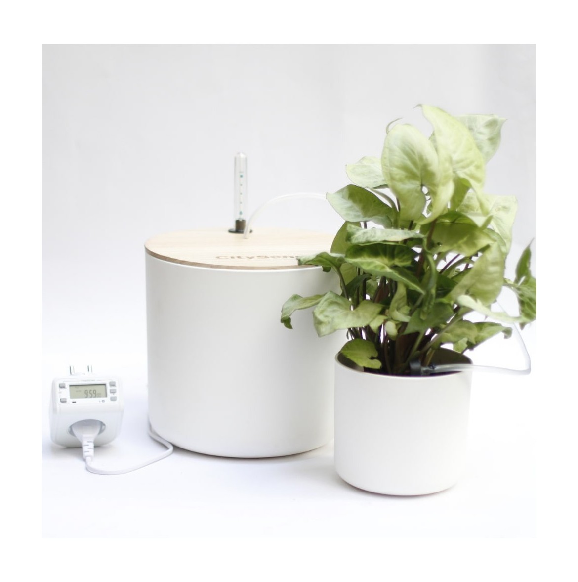 Arrosage,Dispositif d'arrosage automatique ,Pot de plantes d