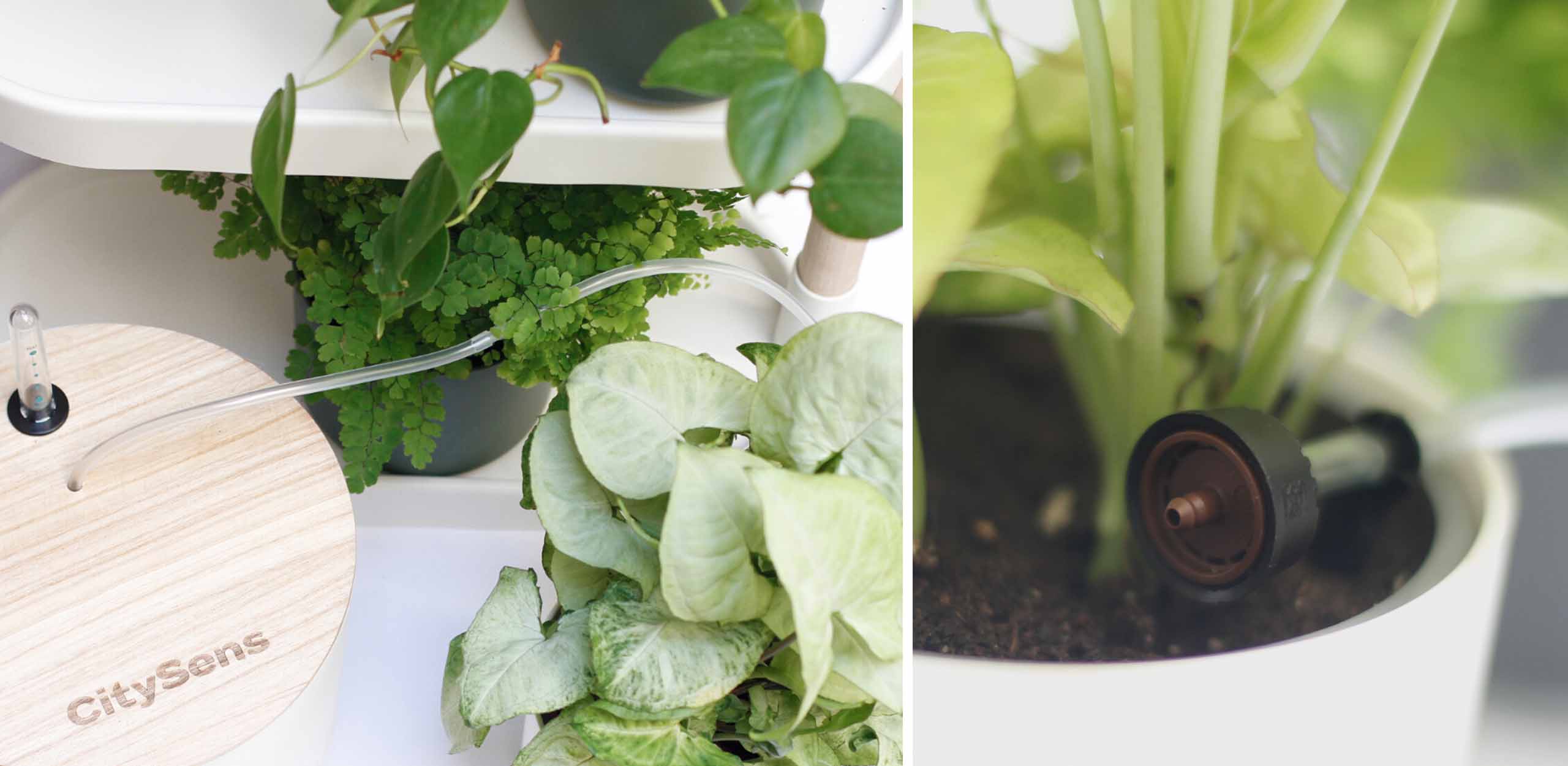 Étagère pour Plantes, Jardinière Verticale et Irrigation Automatique | CitySens